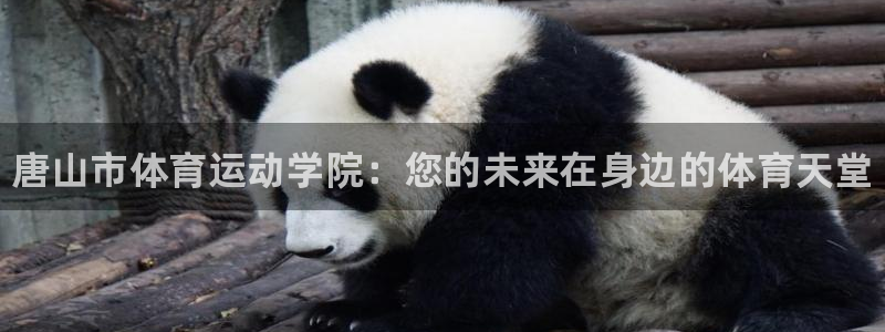 德国凯发官方正版app集团:唐山市体育运动学院:您的未来在身