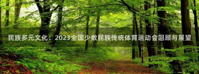 注册凯发官方正版app:民族多元文化:2023全国少数民族传